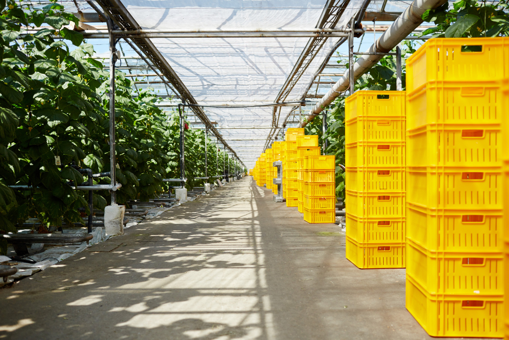 How to Set up a Greenhouse Equipment Supplier Business in the UAE