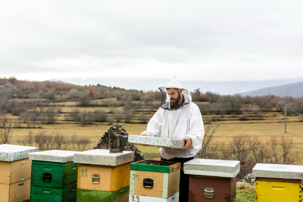 How to Set up a Beekeeping Equipment Supplier Business in the UAE