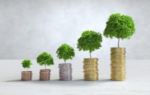 Foster Investment