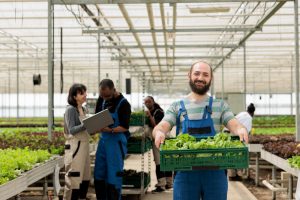 Tips for Indian Agricultural Wholesalers in Dubai