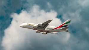 Immigration Services in UAE